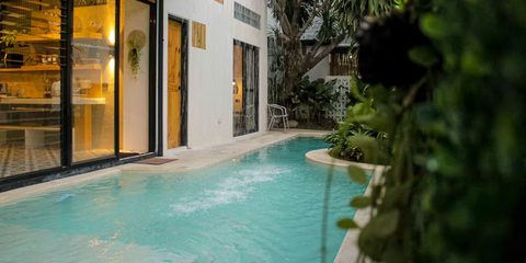 Private outdoor swimming pool in a planted courtyard